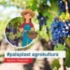 Αμπέλι Grapevine Palaplast